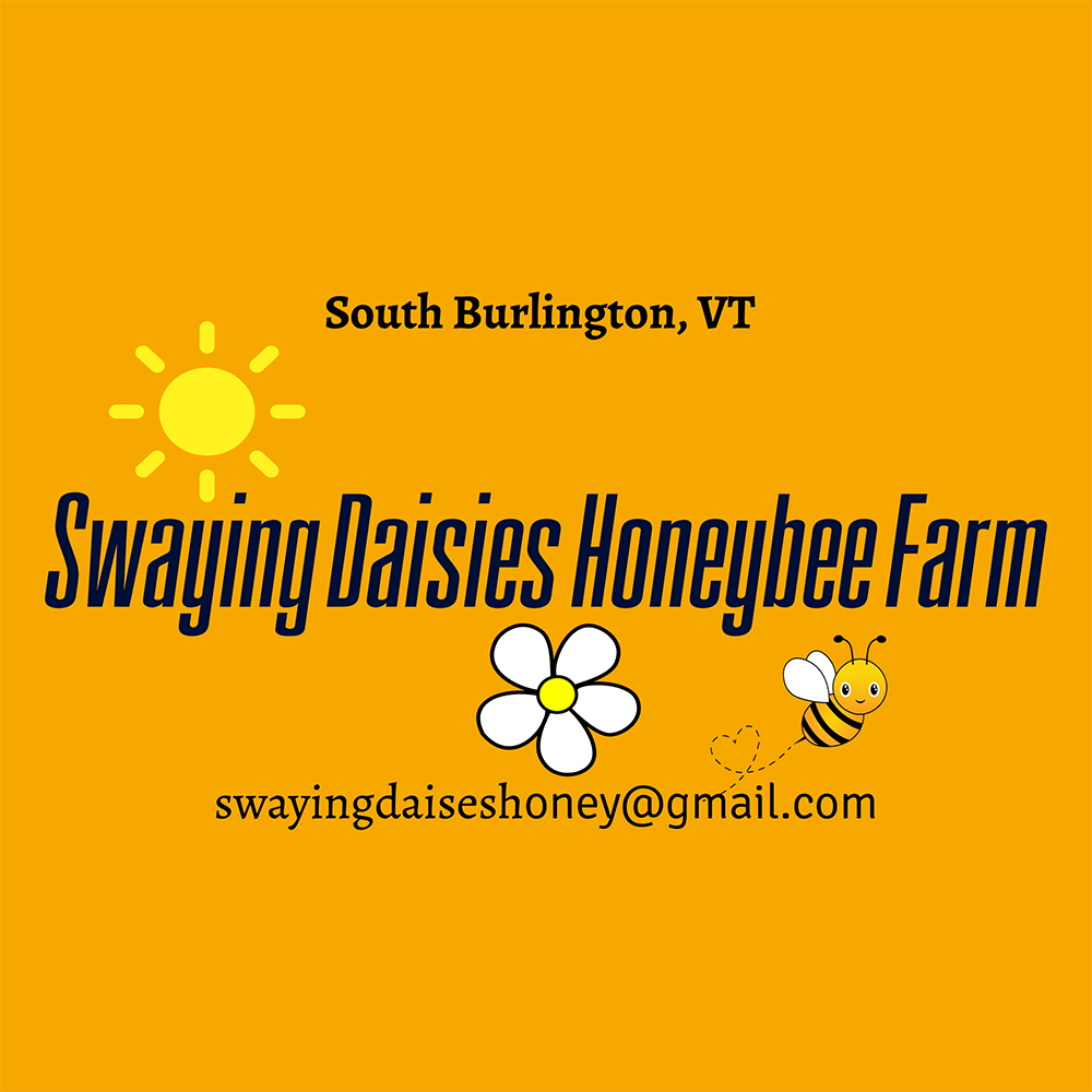Swaying Daisies